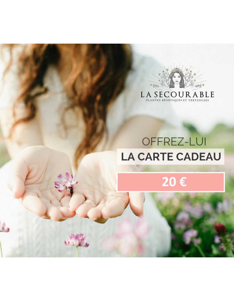 Carte cadeau - La Secourable