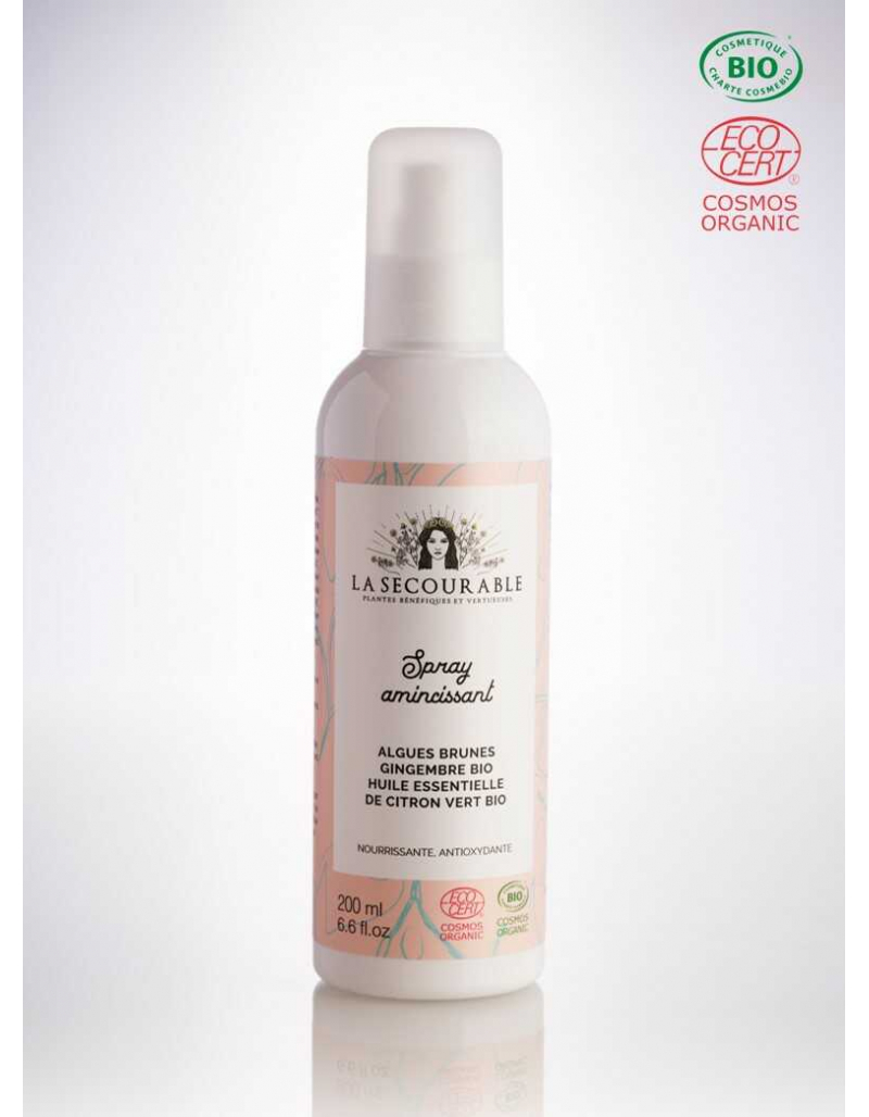 SPRAY AMINCISSANT BIO - Antioxydant