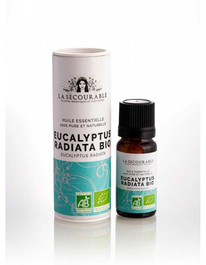 Huile essentielle - Eucalyptus radiata – The Vegetal Lab Experience