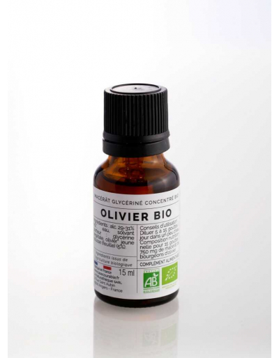 Macérât glycériné bio olivier
