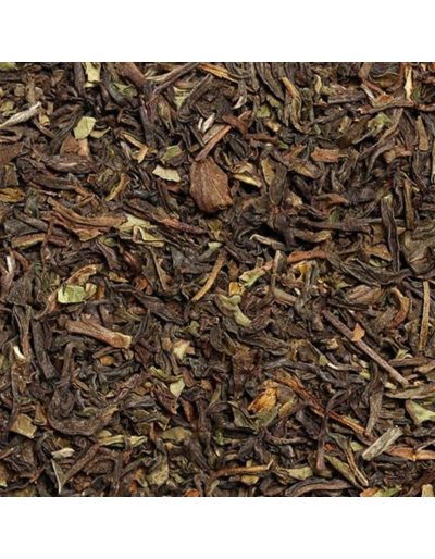Thé noir - Darjeeling