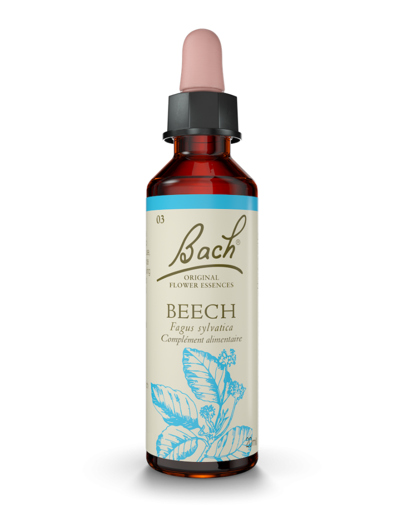 Fleur de Bach n°3 - Beech