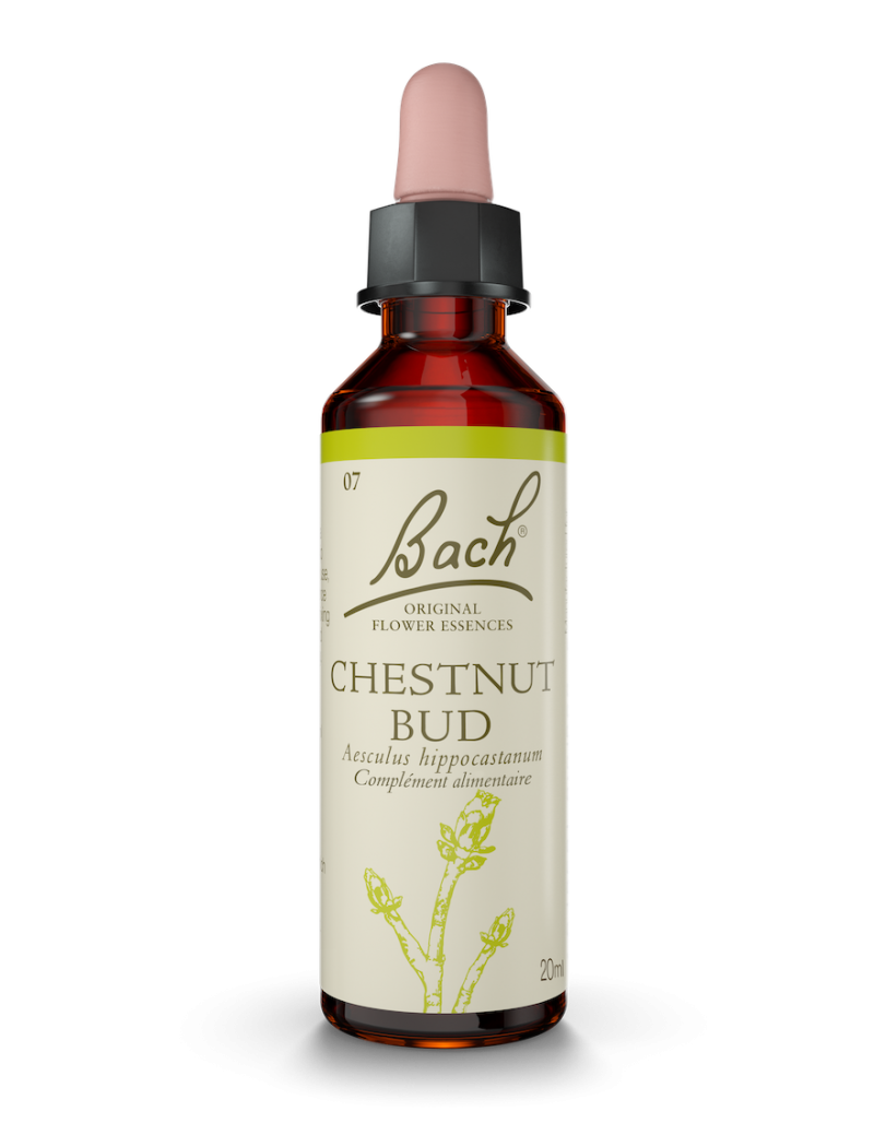 Fleur de Bach n°7 - Chestnut Bud