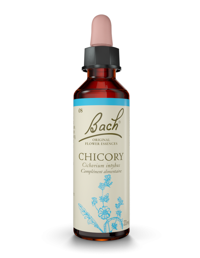 Fleur de Bach n°8 - Chicory