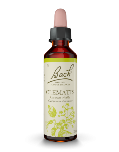 Fleur de Bach n°9 - Clematis