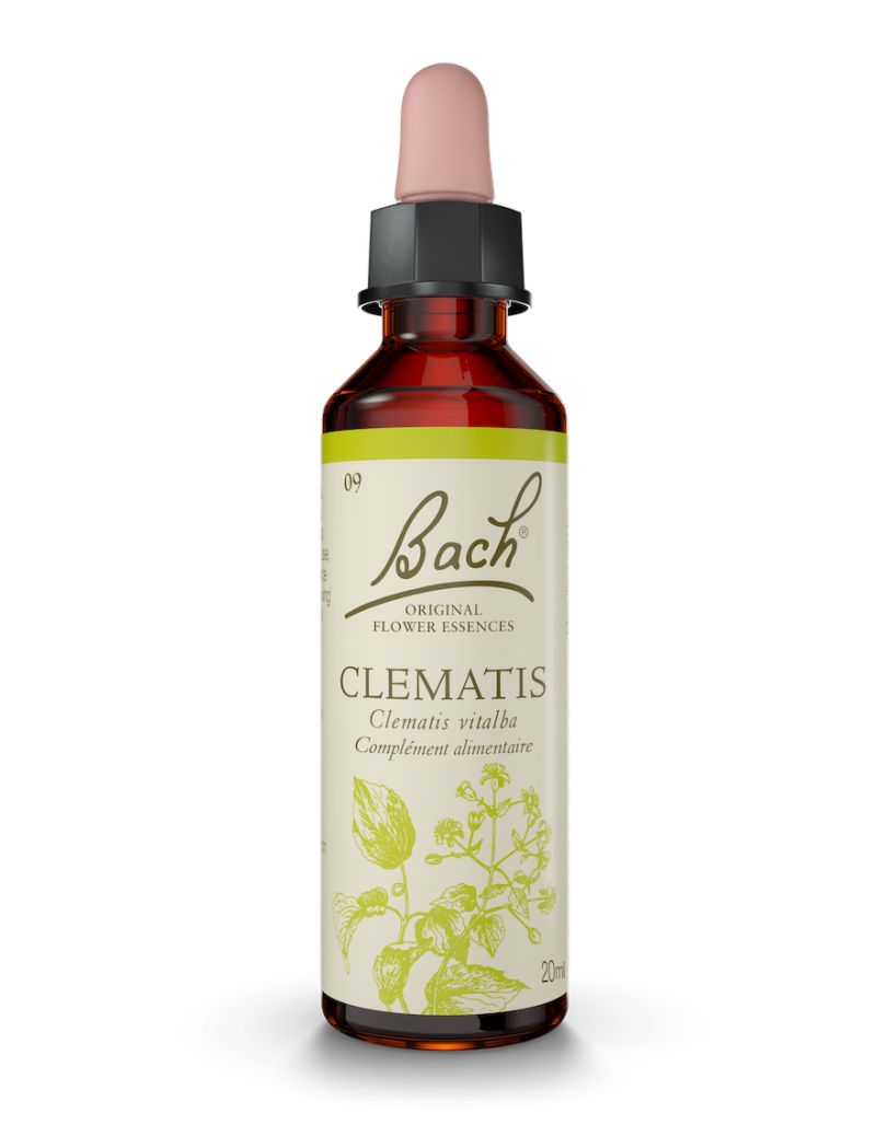 Fleur de Bach n°9 - Clematis