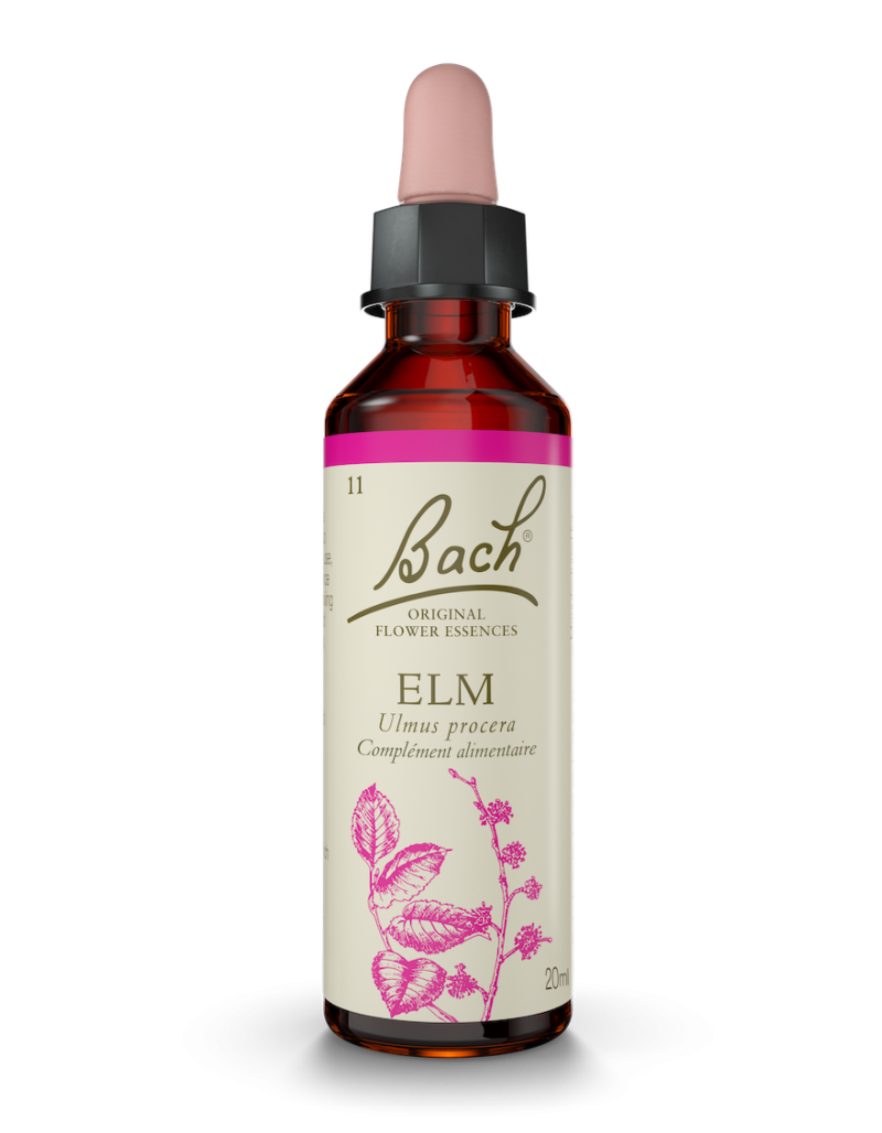 Fleur de Bach n°11 - Elm