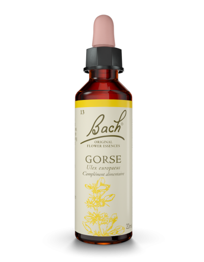 Fleur de Bach n°13 - Gorse
