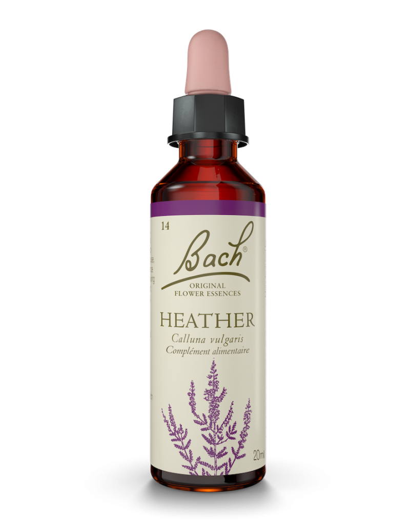 Fleur de Bach n°14 - Heather