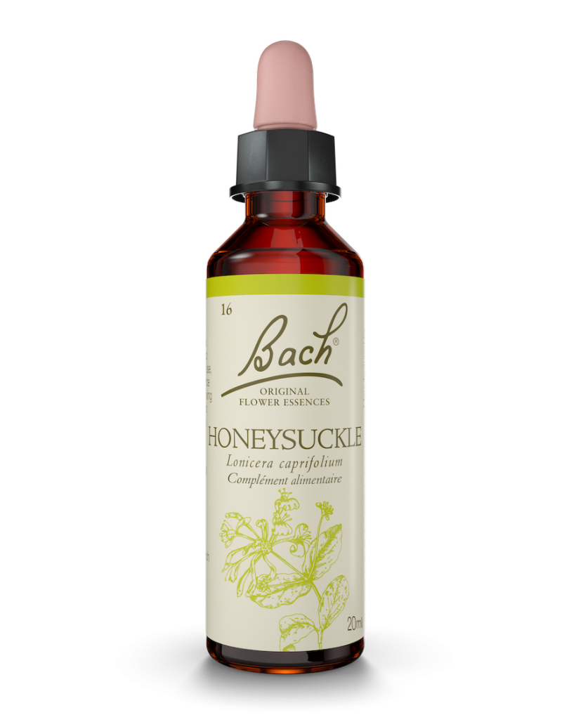Fleur de Bach n°16 - Honeysuckle