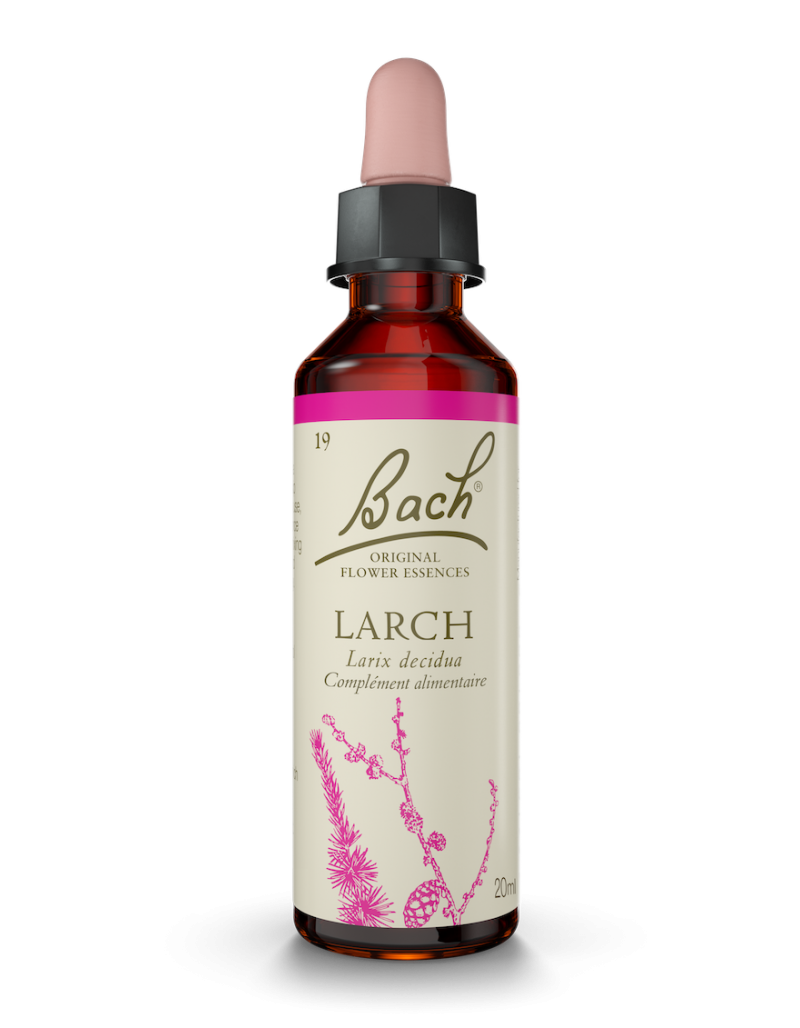 Fleur de Bach n°19 : Larch