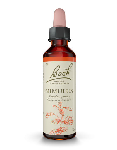 Fleur de Bach n°20 - Mimulus