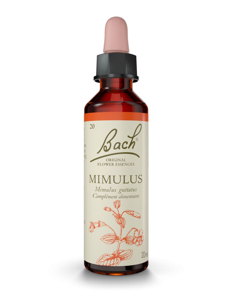 Fleur de Bach n°20 - Mimulus