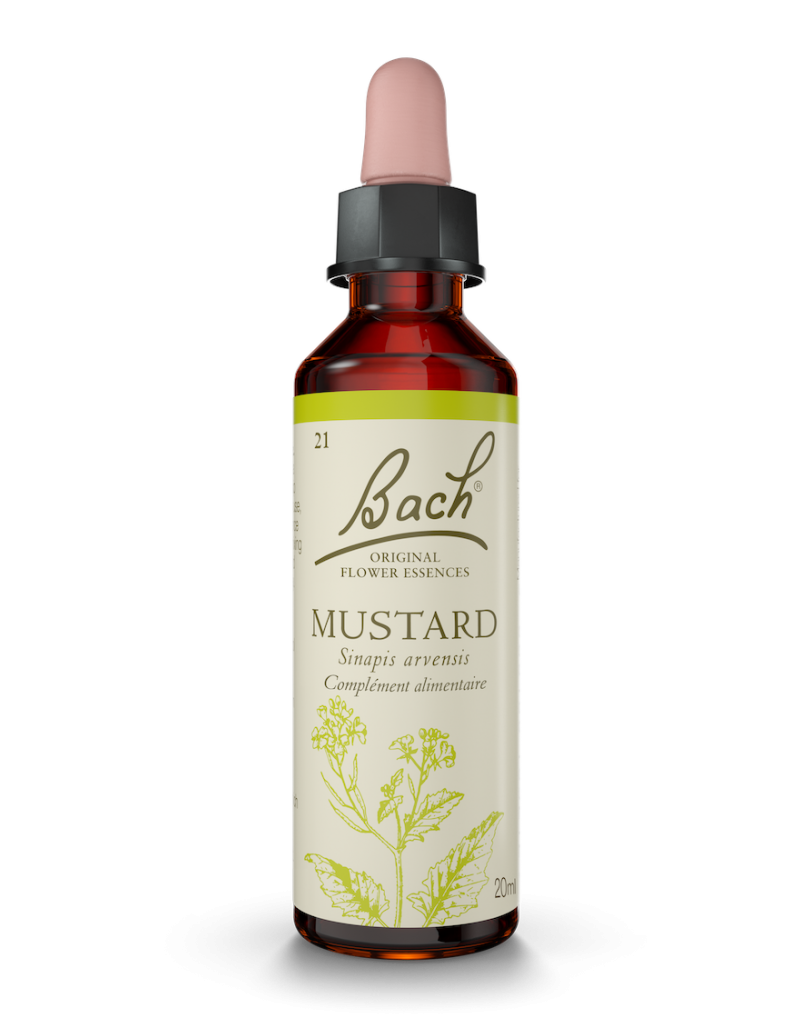 Fleur de Bach n°21 - Mustard