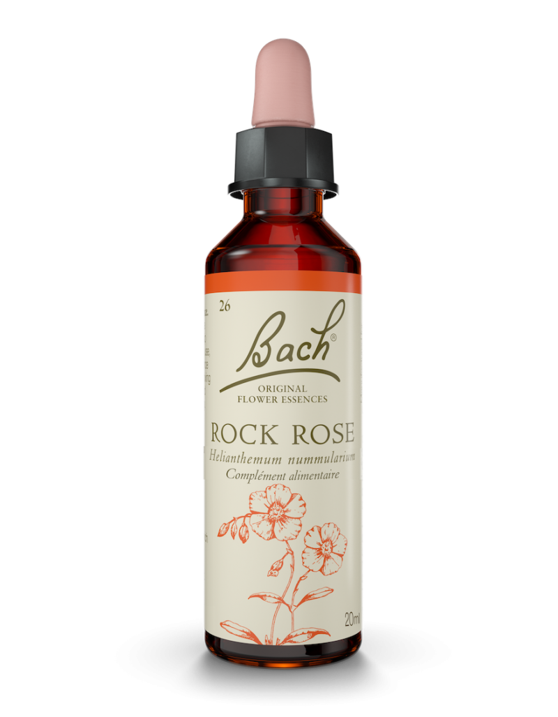 Fleur de Bach n°26 - Rock Rose