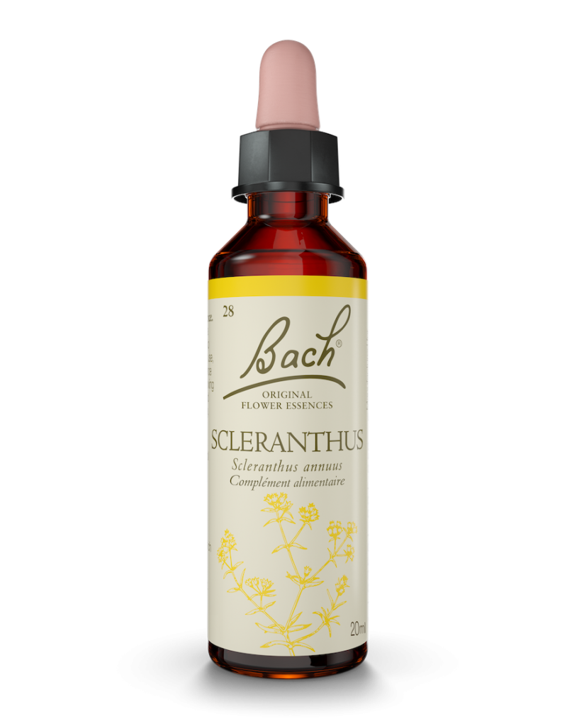 Fleur de Bach n°28 - Scleranthus