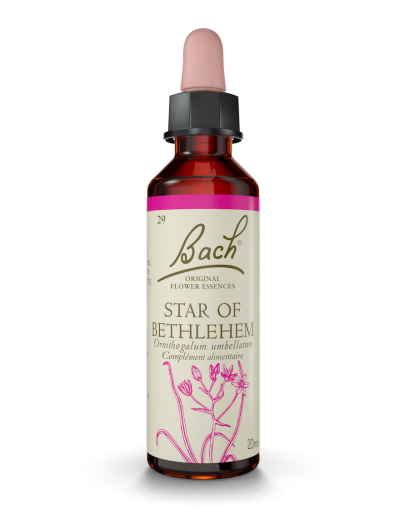 Fleur de Bach n°29 - Star...