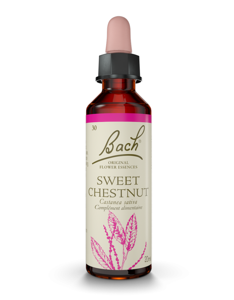 Fleur de Bach n°30 - Sweet Chestnut