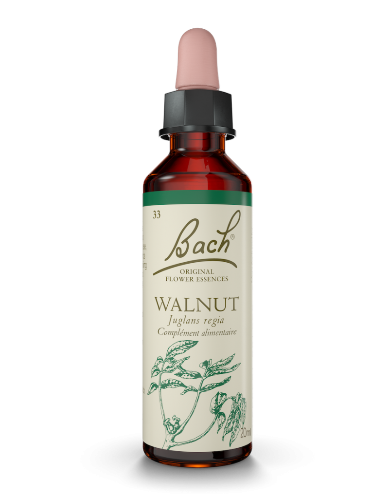 Fleur de Bach n°33 - Walnut