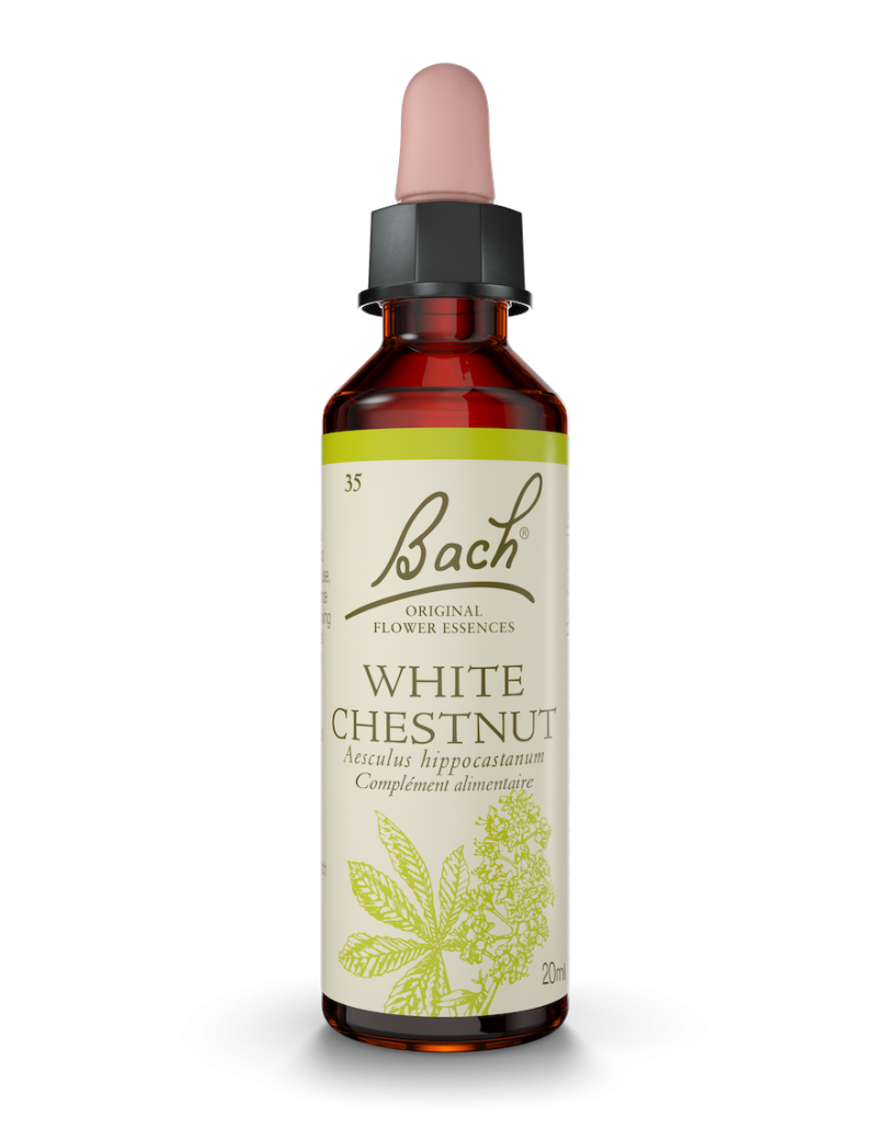 Fleur de Bach n°35 - White Chesnut