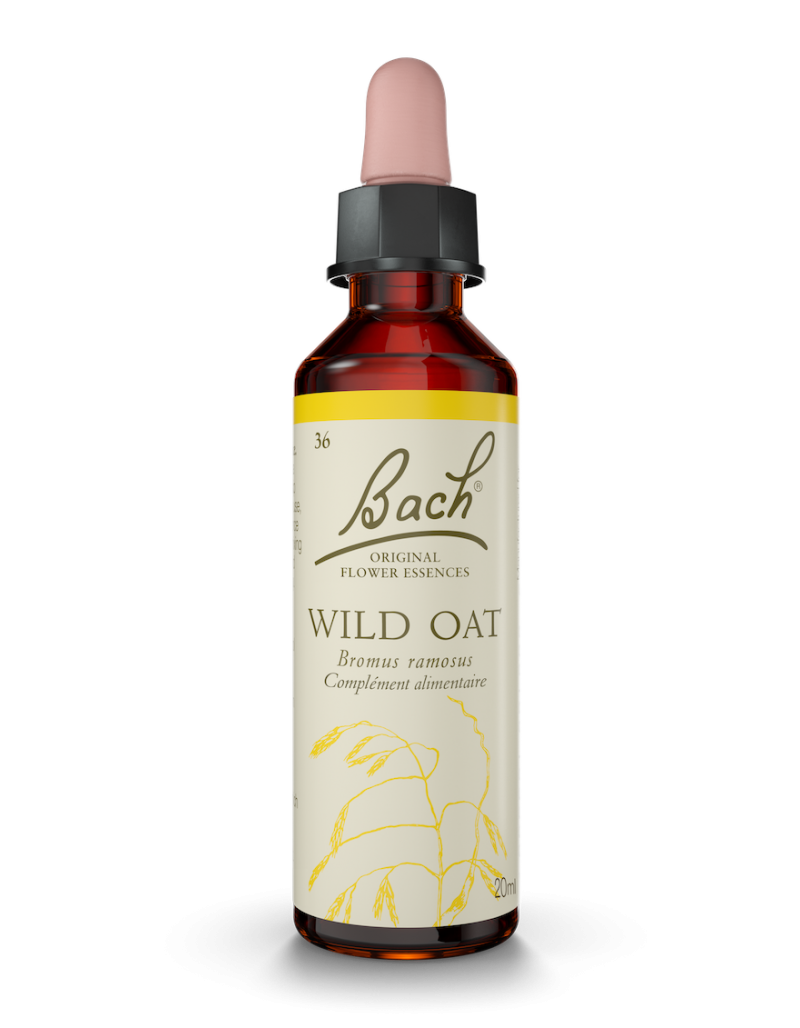 Fleur de Bach n°36 - Wild Oat