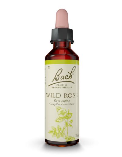 Fleur de Bach n°37 - Wild Rose