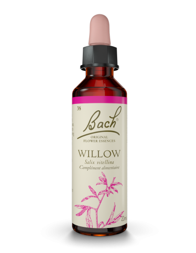 Fleur de Bach n°38 - Willow