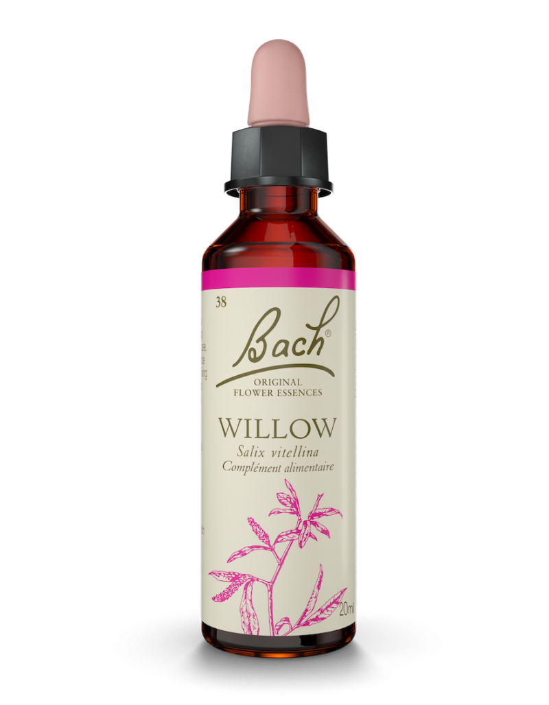 Fleur de Bach n°38 - Willow