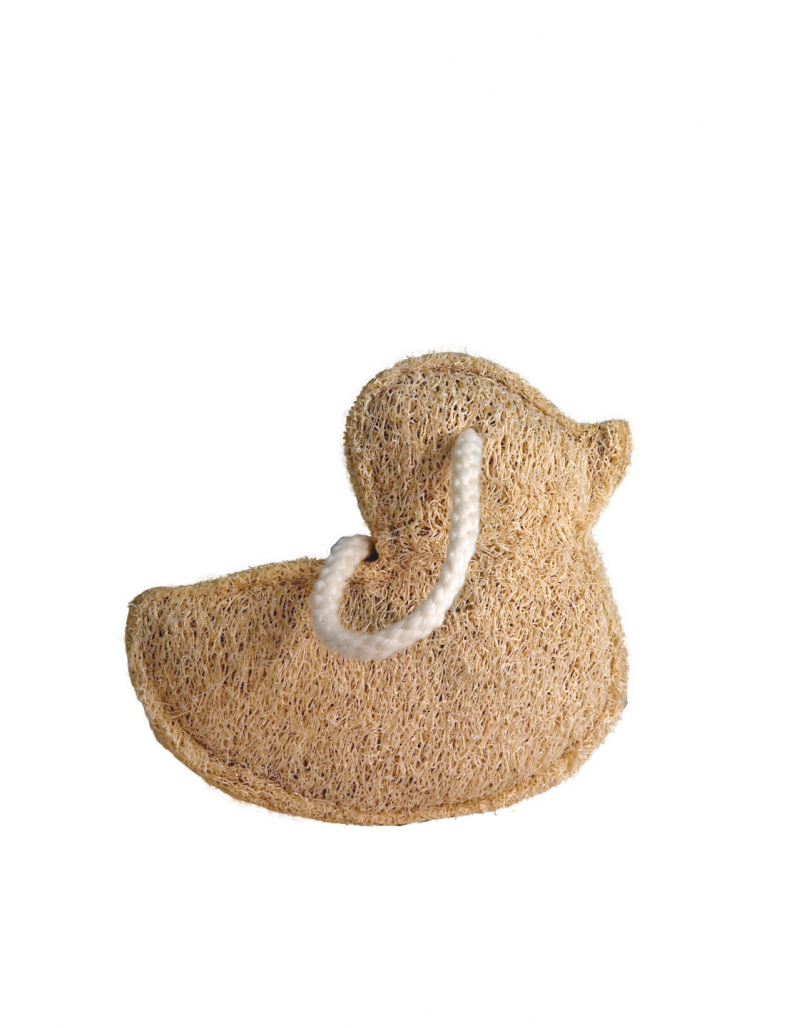 Luffa, formes diverses