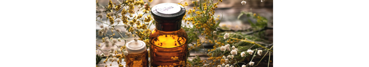 Soins bio par les plantes à Angers - La Secourable
