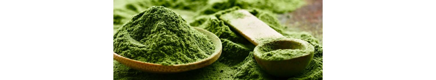 Nutrition bio et Bien-Etre par les Plantes - La Secourable