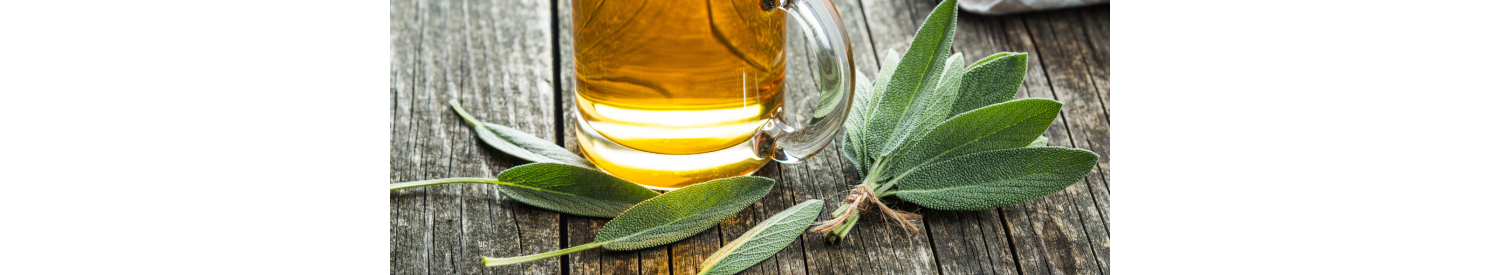Les plantes simples bio