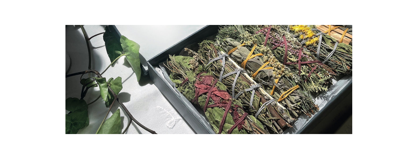 Notre Sélection de bouquets de fumigation à Angers- La Secourable